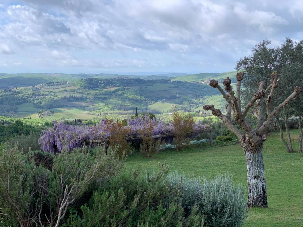 La Locanda Volpaia Radda in Chianti Eksteriør billede
